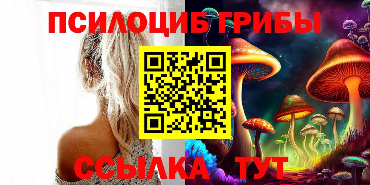 Псилоцибиновые грибы ЛСД  Вход с VPN  Псилоцибиновые грибы GOLDEN TEACHER  Вязники 