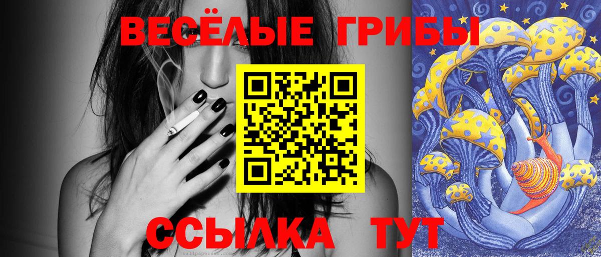Галлюциногенные грибы Cubensis Вязники